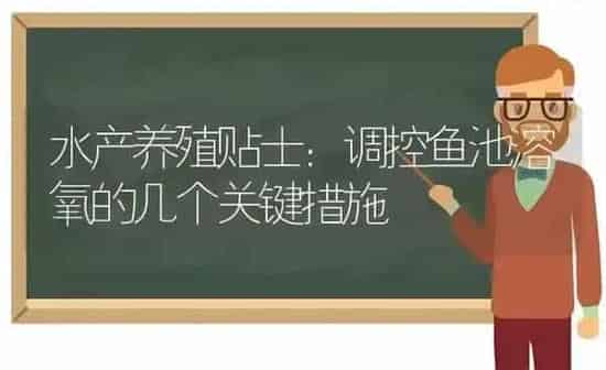 水产养殖贴士：调控鱼池溶氧的几个关键措施 | 动物养殖百科