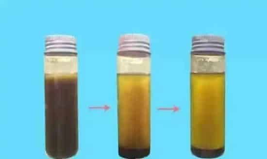 水产养殖户如何辨别优质乳酸菌和光合菌