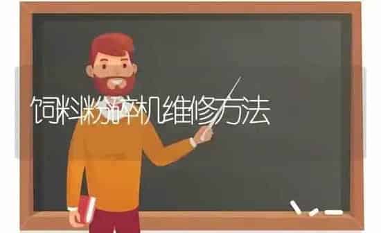 饲料粉碎机维修方法 | 动物养殖饲料