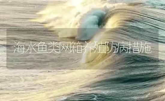 海水鱼类网箱养殖防病措施 | 海水养殖