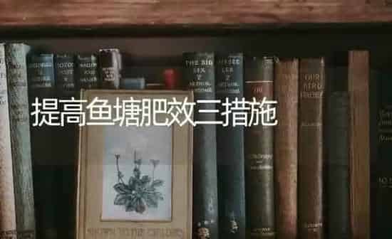 提高鱼塘肥效三措施 | 淡水养殖
