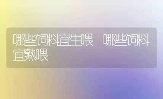 哪些饲料宜生喂 哪些饲料宜熟喂 | 动物养殖饲料