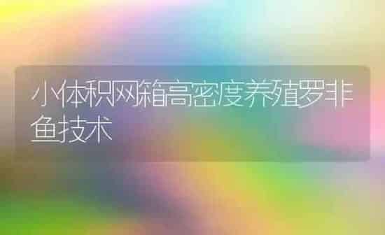 小体积网箱高密度养殖罗非鱼技术 | 淡水养殖