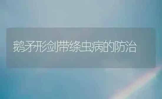 鹅矛形剑带绦虫病的防治 | 家禽养殖