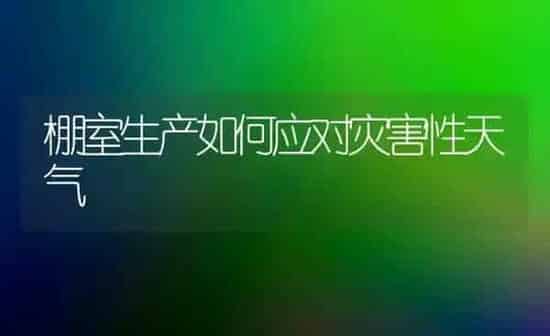 简易治疗大牲畜的冷痛病 | 家畜养殖
