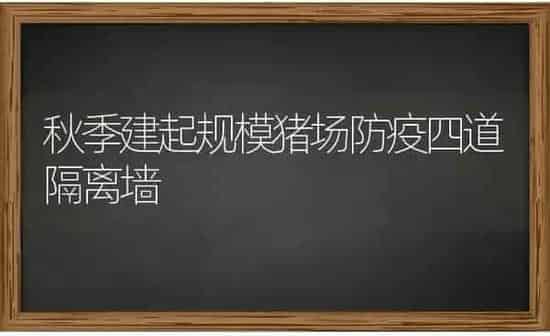 秋季建起规模猪场防疫四道隔离墙 | 家畜养殖