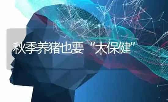 秋季养猪也要“大保健” | 家畜养殖