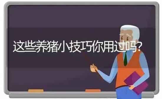 这些养猪小技巧你用过吗？ | 家畜养殖