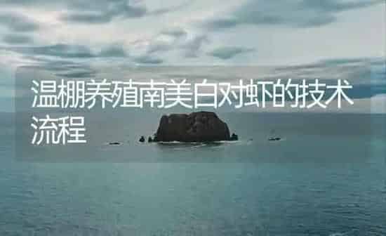 温棚养殖南美白对虾的技术流程 | 海水养殖