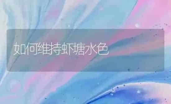 如何维持虾塘水色 | 动物养殖百科