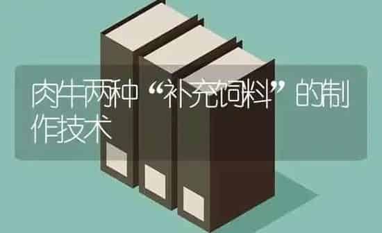 肉牛两种“补充饲料”的制作技术 | 动物养殖饲料