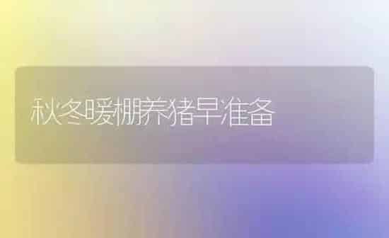 秋冬暖棚养猪早准备 | 家畜养殖