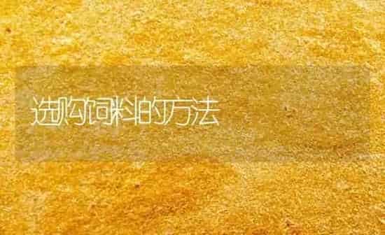 选购饲料的方法 | 动物养殖饲料