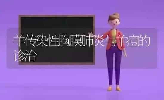 羊传染性胸膜肺炎与羊痘的诊治 | 家畜养殖