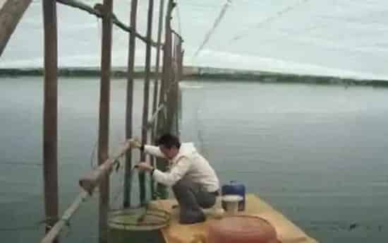 水产养殖户盲目投喂的隐患和对策分析