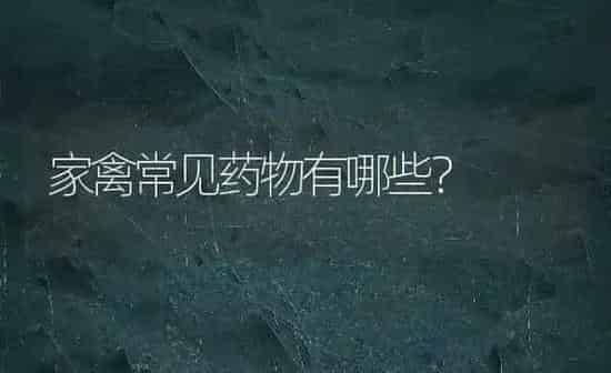 家禽常见药物有哪些？ | 养殖病虫害防治