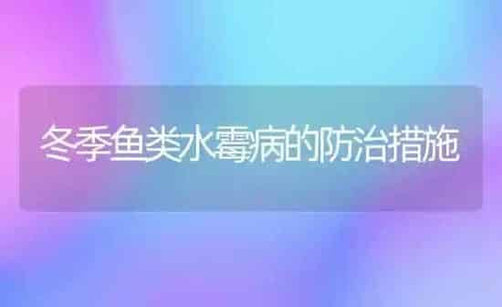 冬季鱼类水霉病的防治措施 | 淡水养殖