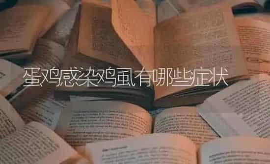 蛋鸡感染鸡虱有哪些症状 | 家禽养殖
