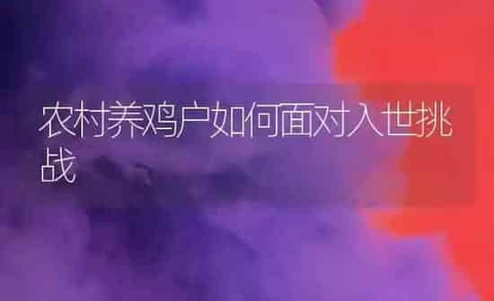 农村养鸡户如何面对入世挑战 | 家禽养殖