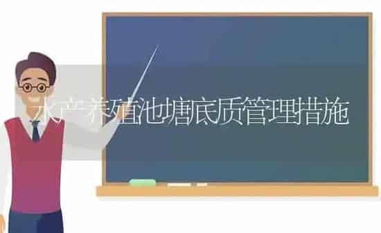 水产养殖池塘底质管理措施 | 动物养殖百科