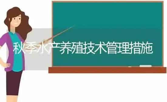 秋季水产养殖技术管理措施 | 动物养殖百科