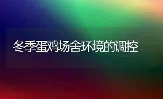 冬季蛋鸡场舍环境的调控 | 家禽养殖