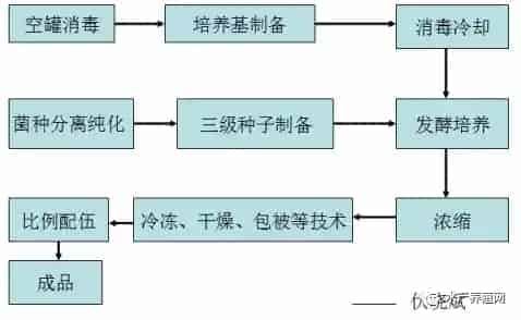 水产养殖过程中“菌虫藻渔”共生模式之菌篇详解