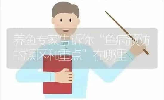 养鱼专家告诉你“鱼病预防的误区和重点”在哪里 | 动物养殖百科