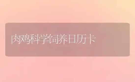 肉鸡科学饲养日历卡 | 家禽养殖