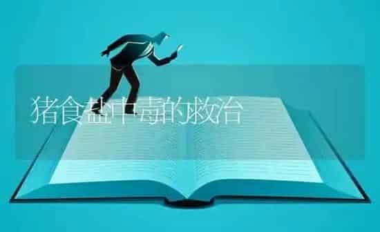 猪食盐中毒的救治 | 家畜养殖