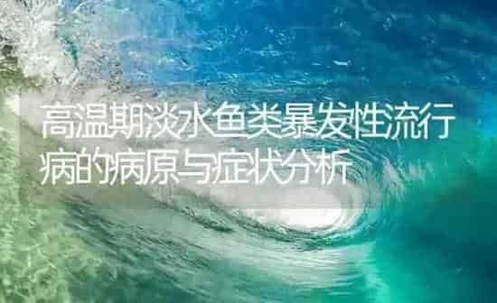 高温期淡水鱼类暴发性流行病的病原与症状分析 | 养殖病虫害防治