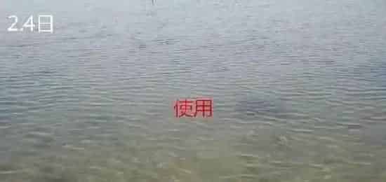 澳华肥水套餐，让蟹苗赢在起跑线