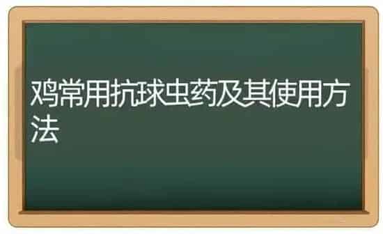 鸡常用抗球虫药及其使用方法 | 养殖病虫害防治