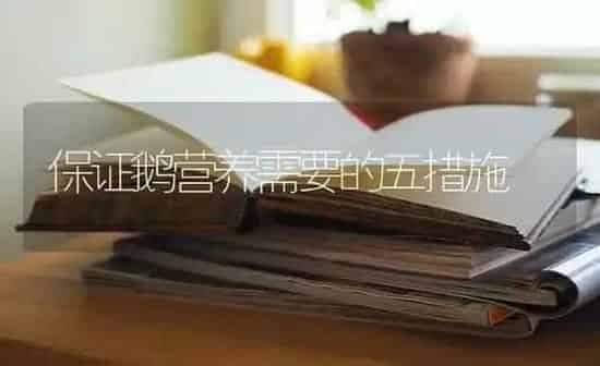 保证鹅营养需要的五措施 | 家禽养殖