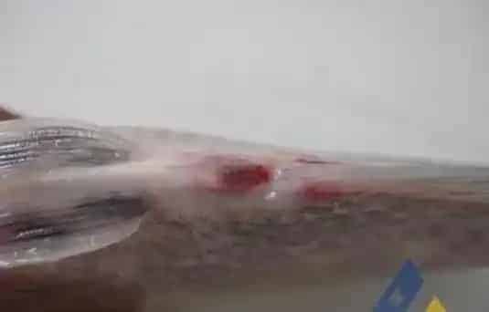 [每周一例]长期投喂原粉药物鳊鱼死亡的处理