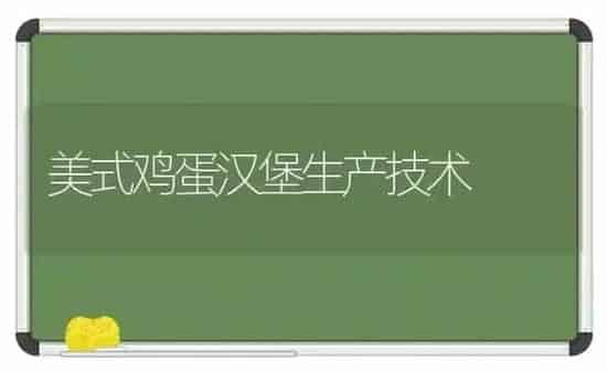 美式鸡蛋汉堡生产技术 | 家禽养殖
