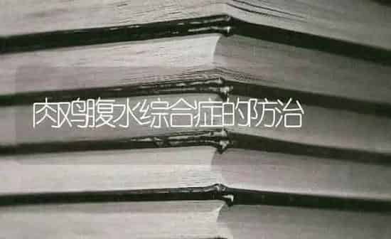 肉鸡腹水综合症的防治 | 家禽养殖