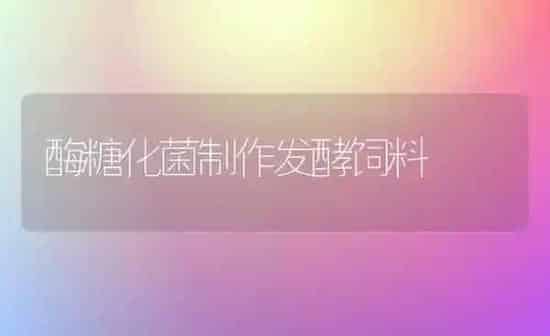 酶糖化菌制作发酵饲料 | 动物养殖饲料