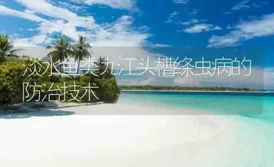 淡水鱼类九江头槽绦虫病的防治技术 | 养殖病虫害防治