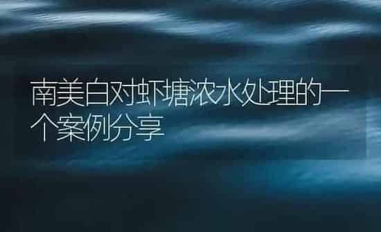 南美白对虾塘浓水处理的一个案例分享 | 海水养殖