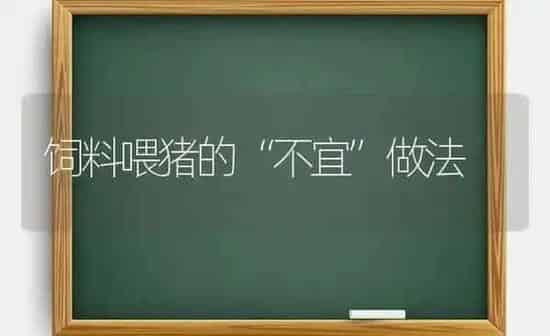 饲料喂猪的“不宜”做法 | 家畜养殖