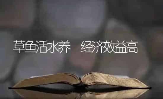草鱼活水养 经济效益高 | 淡水养殖