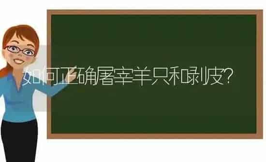 如何正确屠宰羊只和剥皮？ | 家畜养殖
