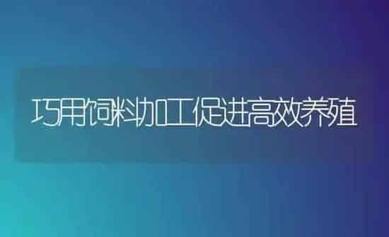 巧用饲料加工促进高效养殖 | 动物养殖饲料