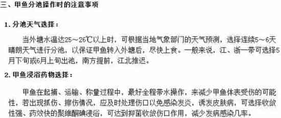 温室甲鱼转外塘养殖的几个注意事项