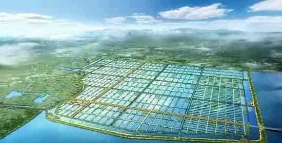 高温天气河蟹病害防控技术要点