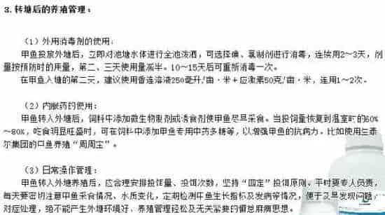 温室甲鱼转外塘养殖的几个注意事项