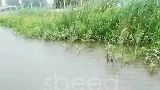 暴雨能对河蟹塘产生的八大威胁及防护措施