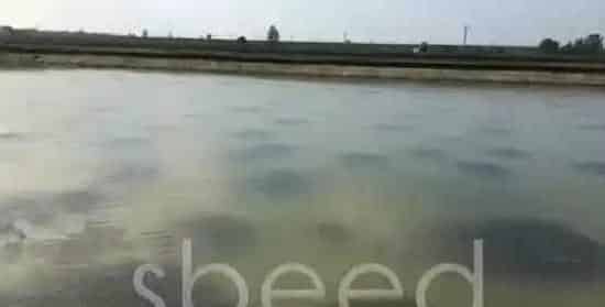 暴雨能对河蟹塘产生的八大威胁及防护措施