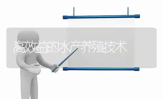 高效益的水产养殖技术 | 动物养殖百科